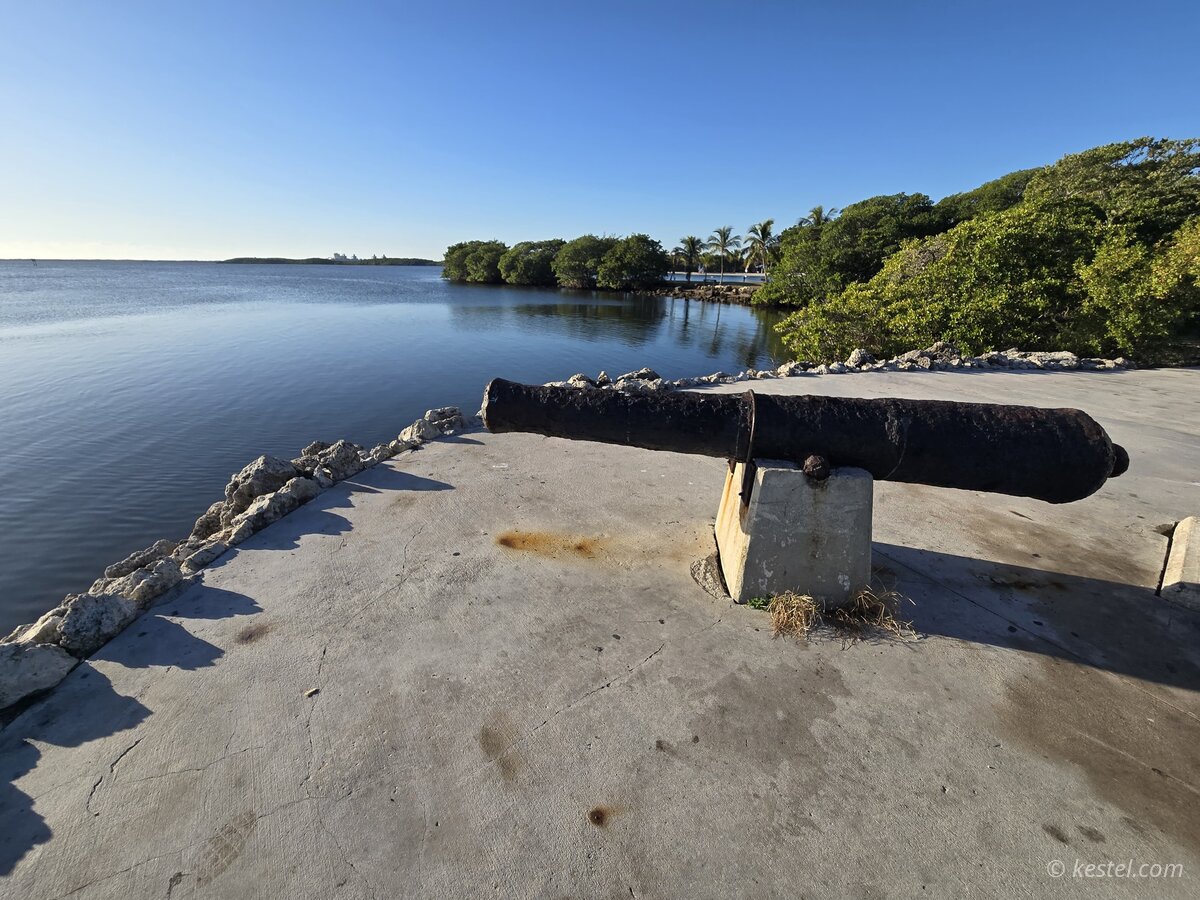 Historic cannon at a waterfront with mangroves in background