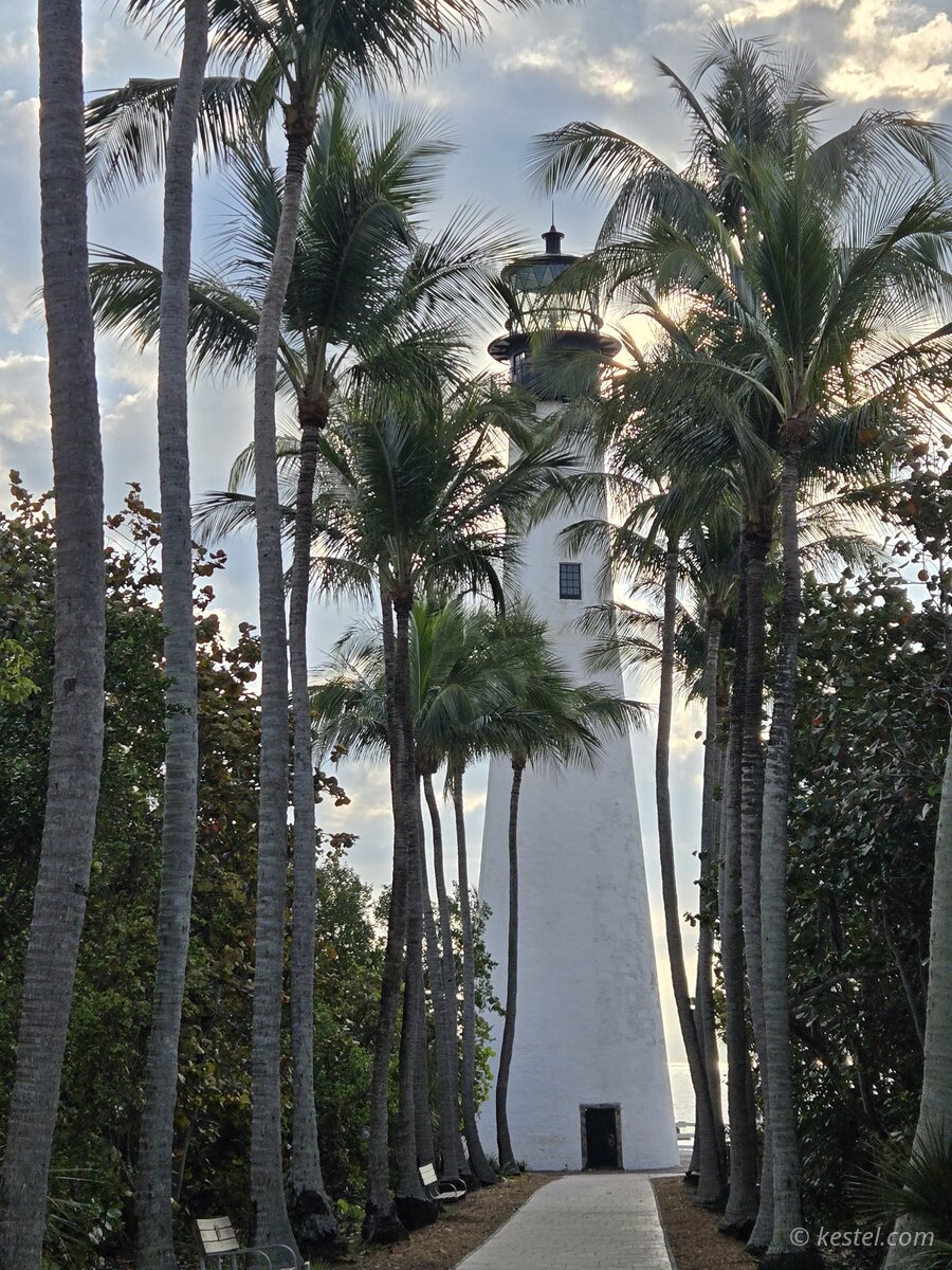 Cape Florida lighthouse surrounded by palm trees