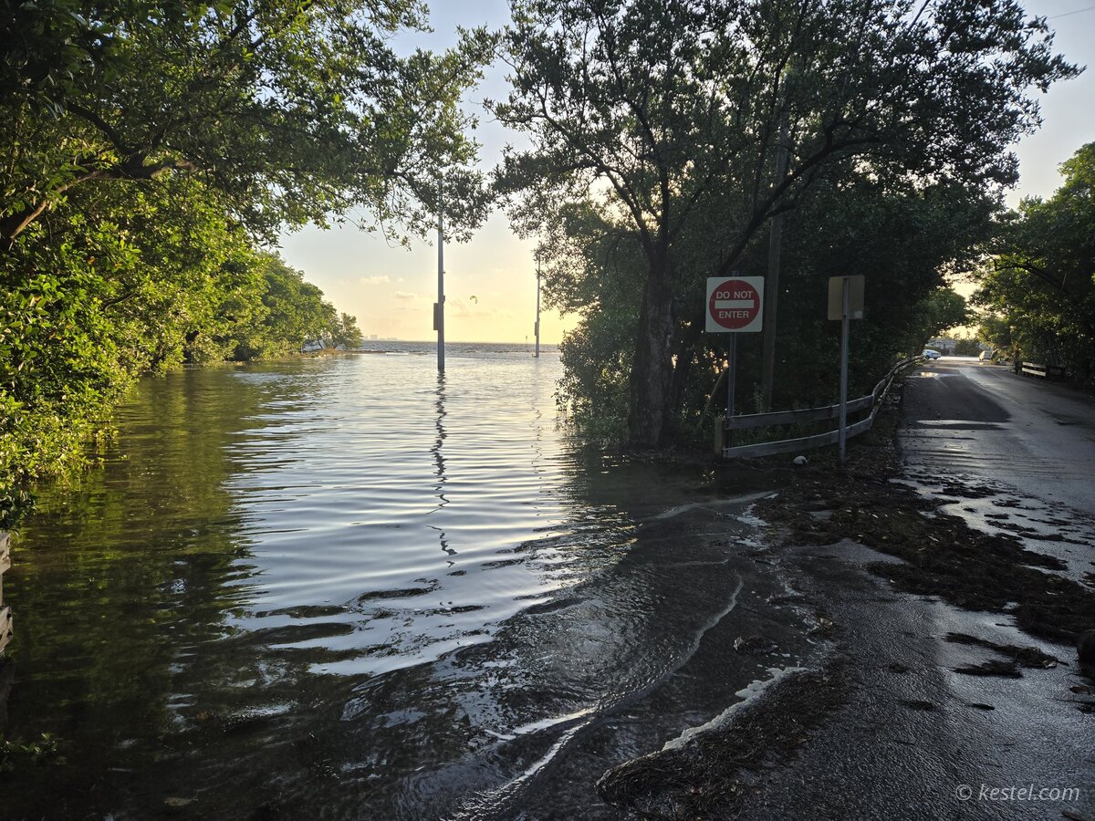 Flooded road through mangroves at sunrise with Do Not Enter sign