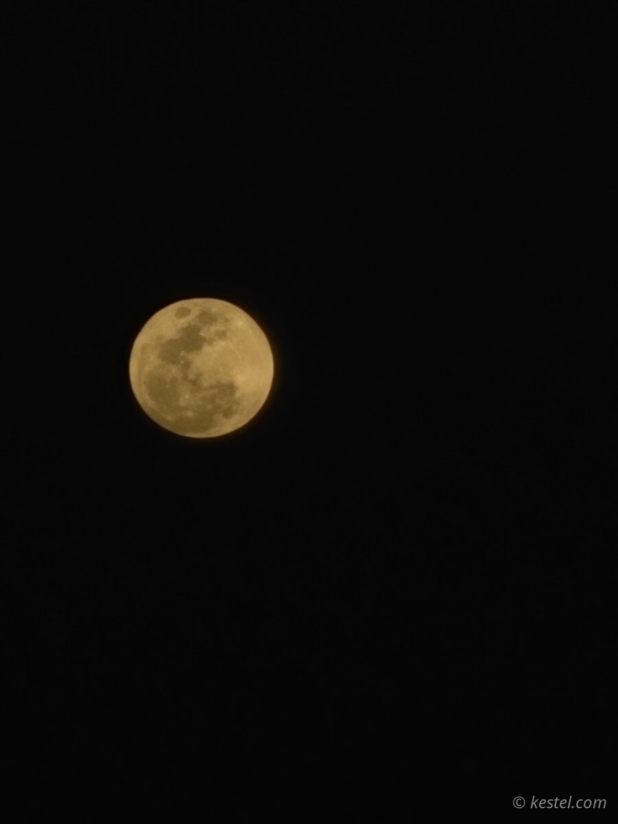 Full moon rising in a clear night sky