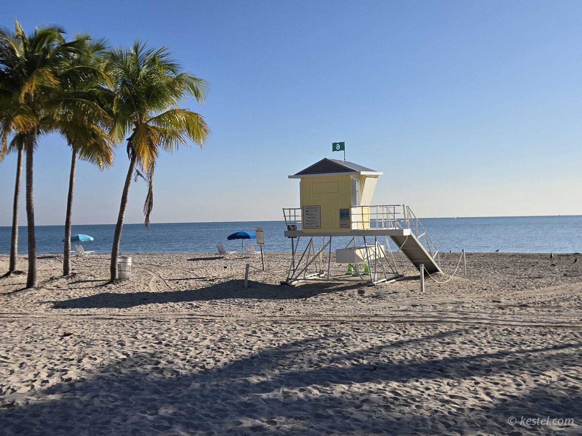 Lifeguard stand on beach with palm trees