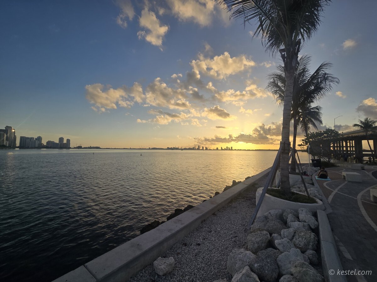 Bayfront promenade with palm trees and Miami skyline at sunrise