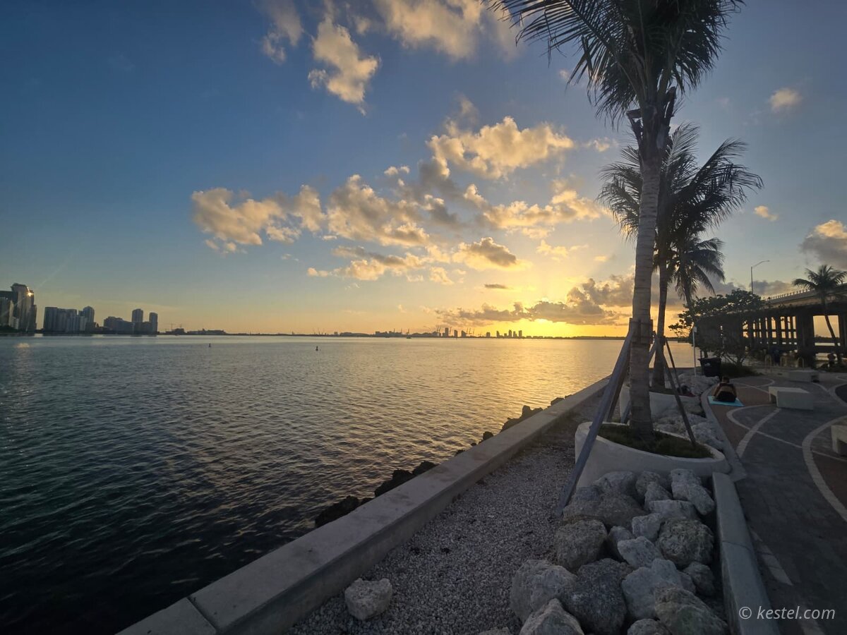 Bayfront promenade with palm trees and Miami skyline at sunset