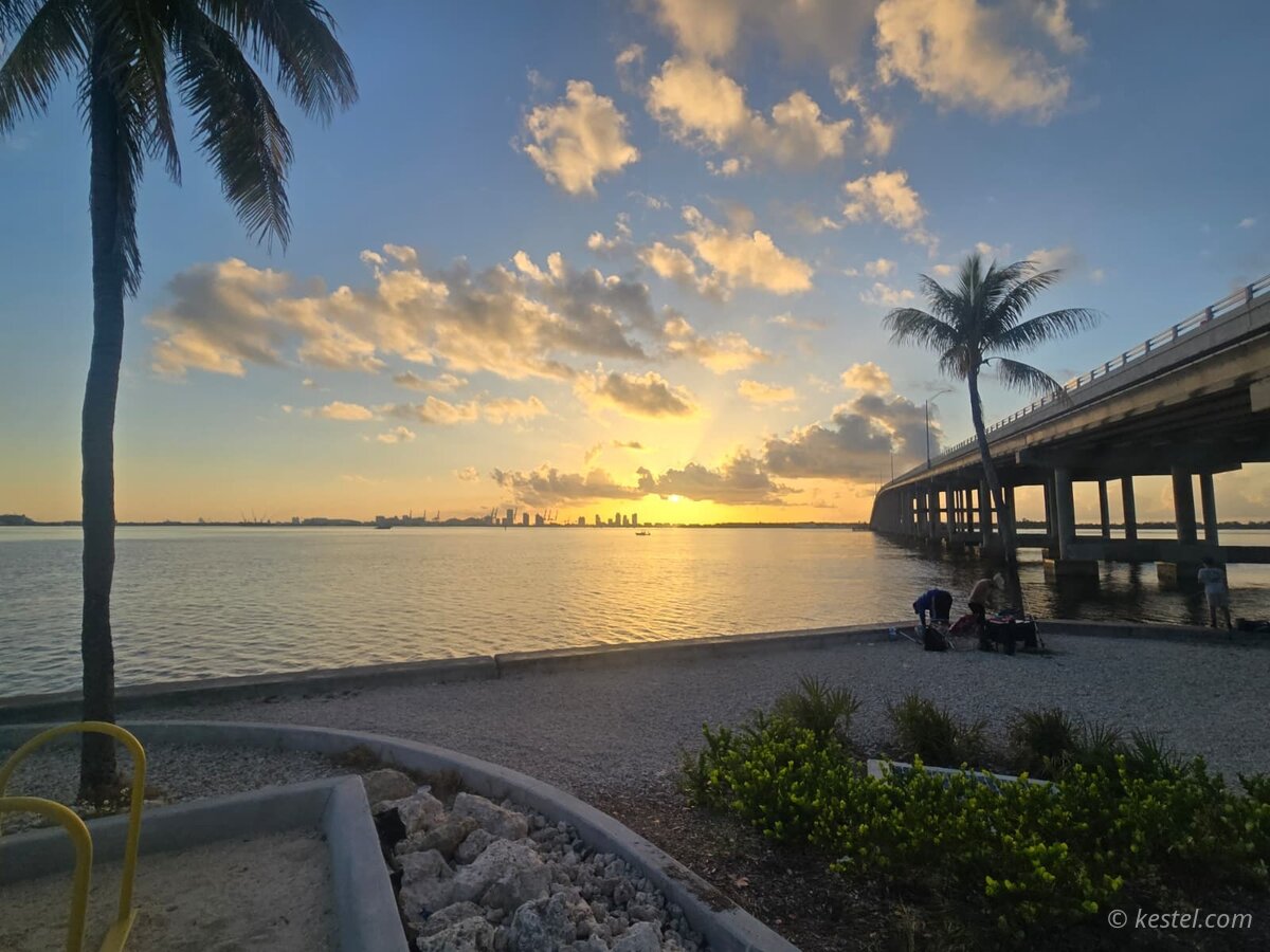 Bayfront path at sunset with bridge and palm trees