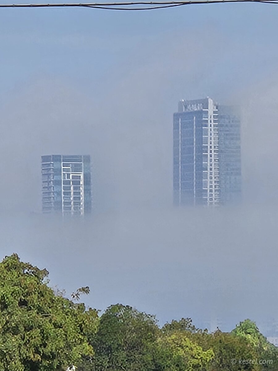 Miami skyline visible above fog from a city street