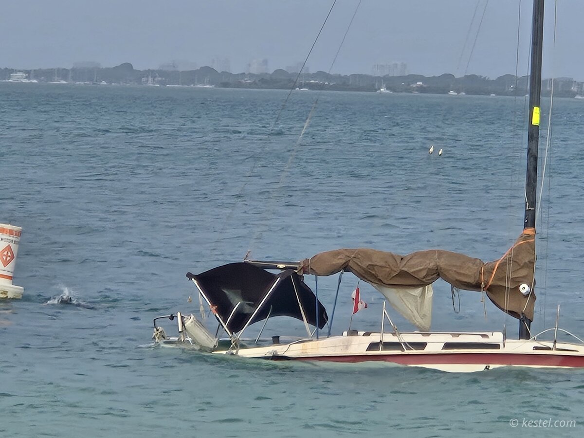 Sailboat partially sunk in the bay