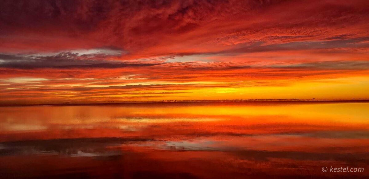 Crimson sunrise over a mangrove shoreline