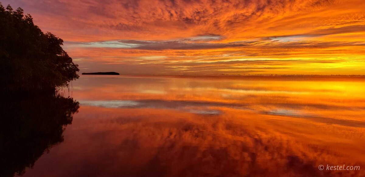 Golden sunrise light over mangrove islands