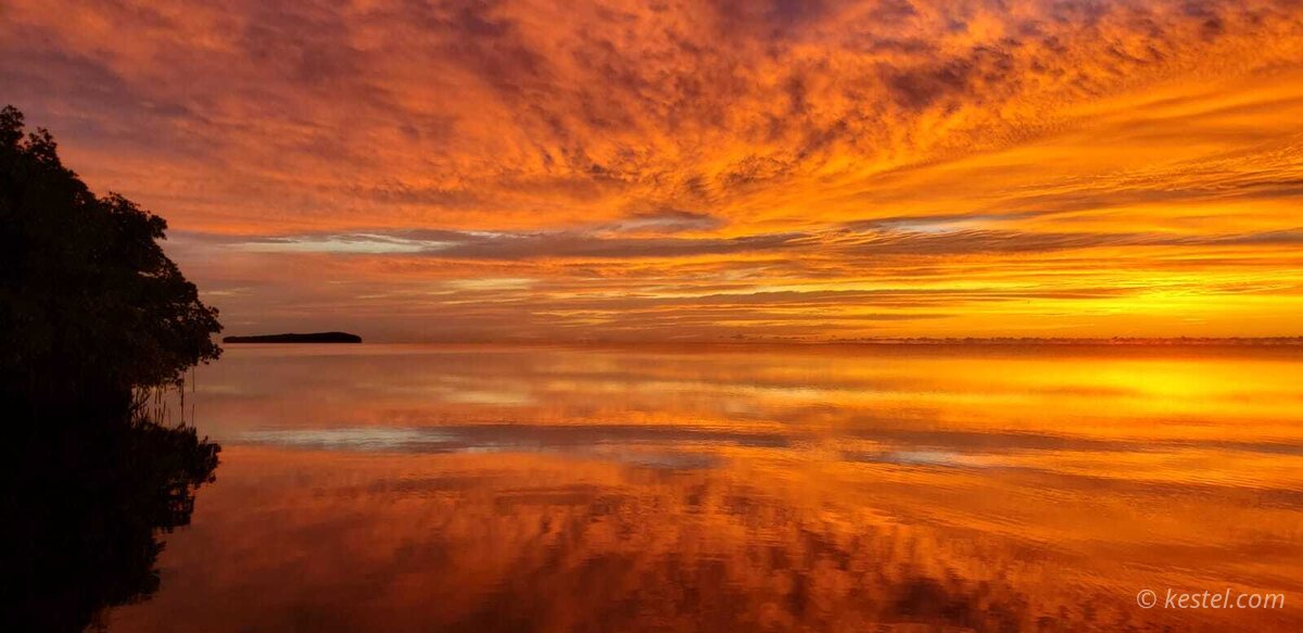 Sunrise over a mangrove island