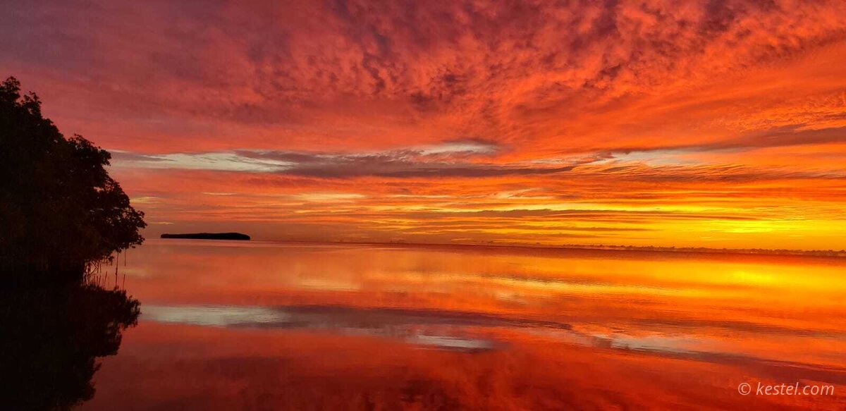 Orange sunrise glow behind mangrove trees