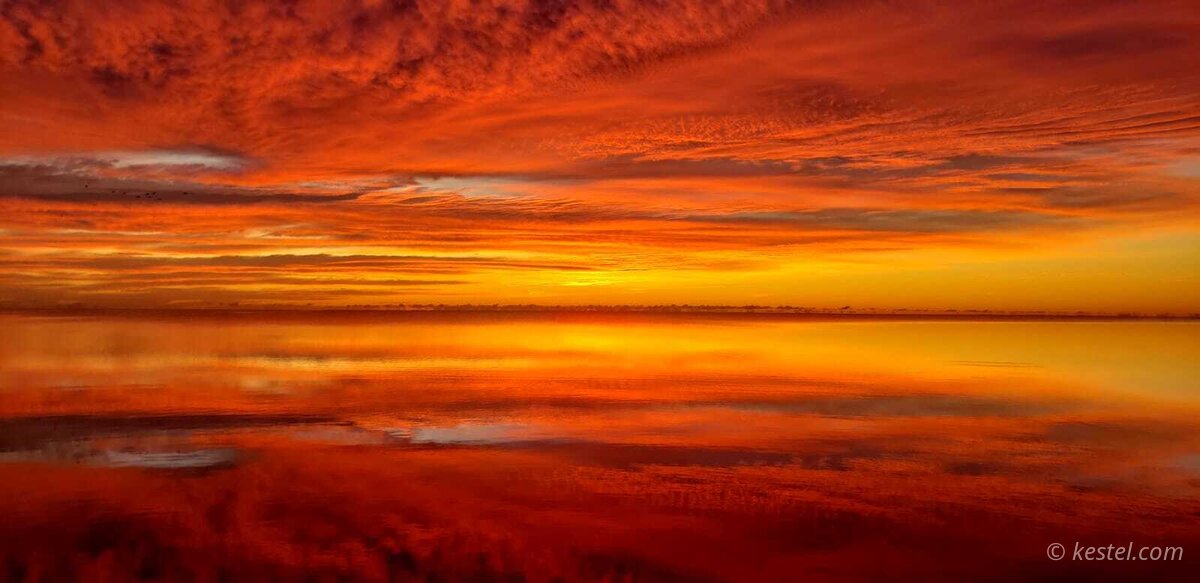 Distant birds silhouetted against an orange sunrise sky
