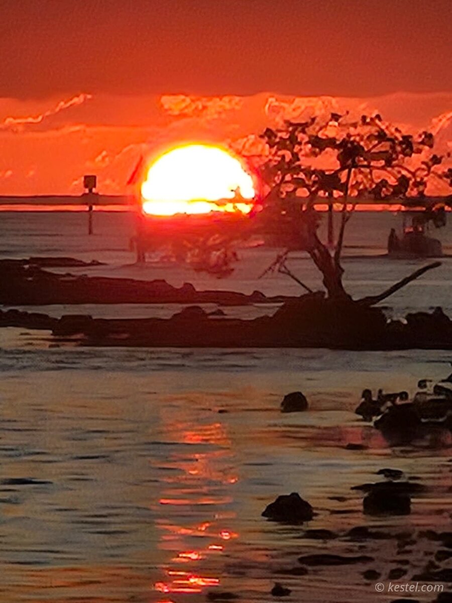 Birds silhouetted on channel markers at sunset